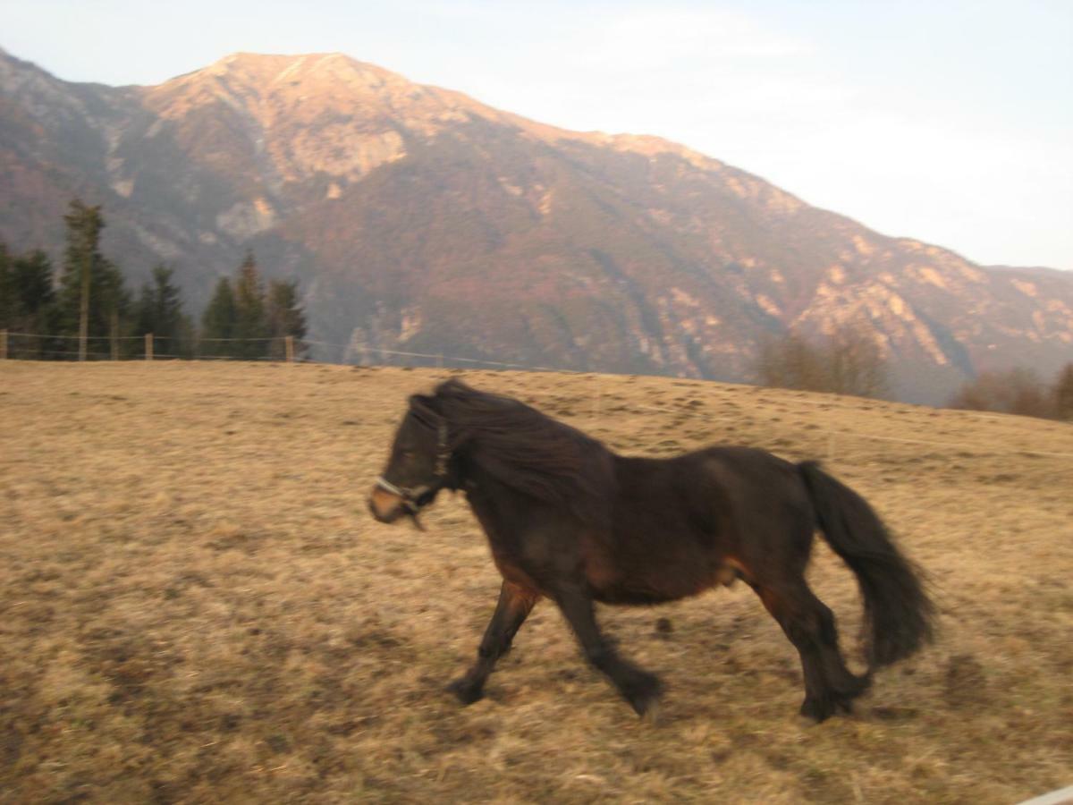 Haus Kaiser Passriach Zewnętrze zdjęcie